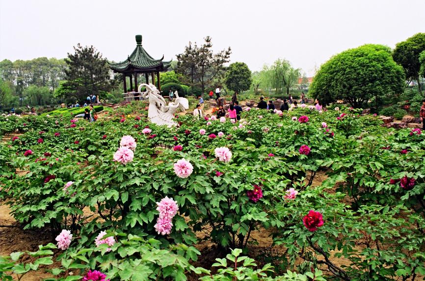 图片2.jpg